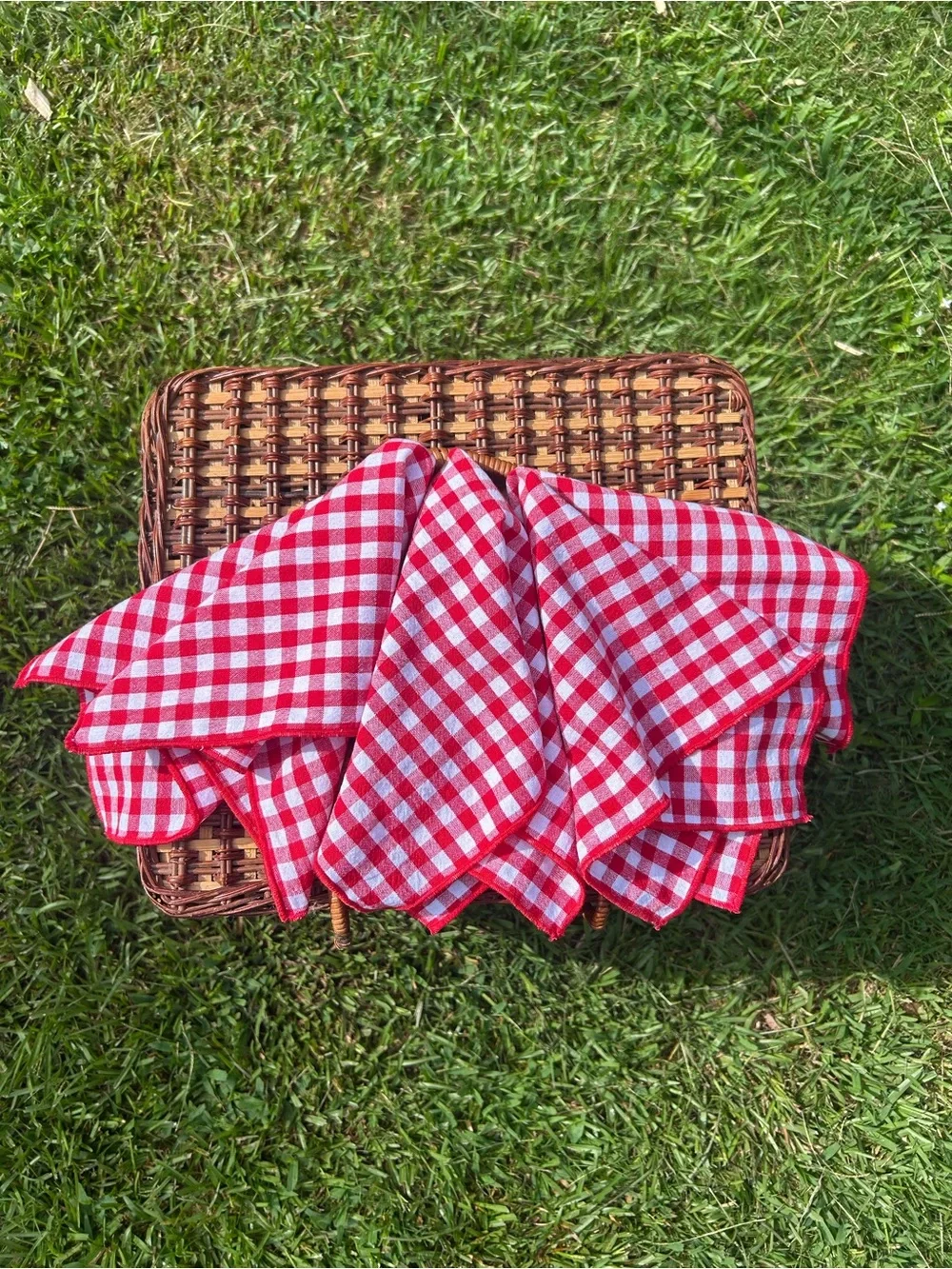 Red Gingham Picnic Napkins - Set of 8